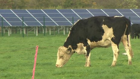 BBC News: Wedmore community 'solar farm' switched on